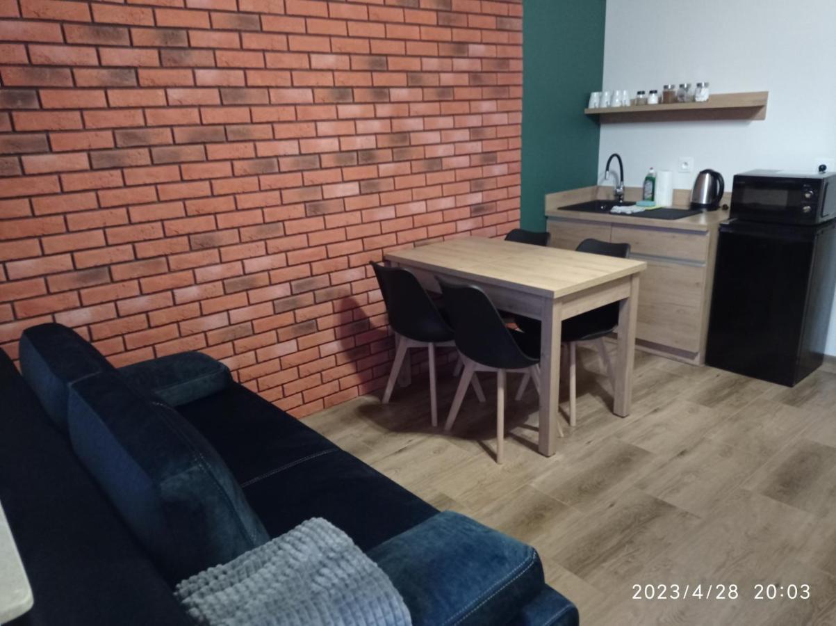 Loft Park Zator, Lokalizacja Przy Wej Parku 빌라 외부 사진