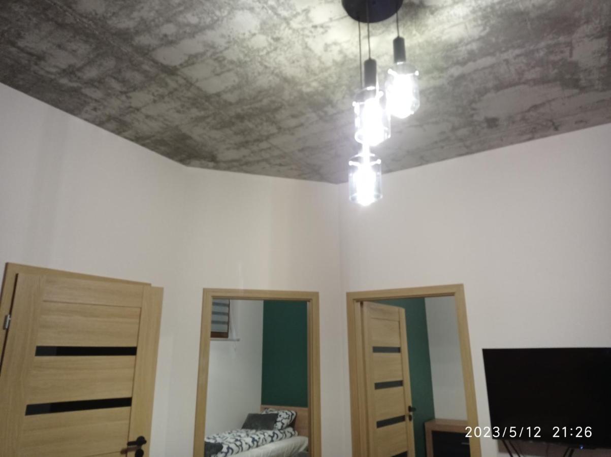 Loft Park Zator, Lokalizacja Przy Wej Parku 빌라 외부 사진